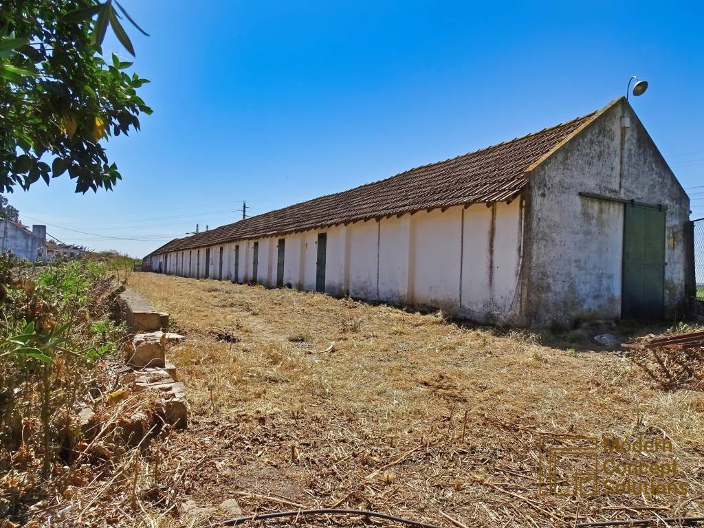 DSC06609