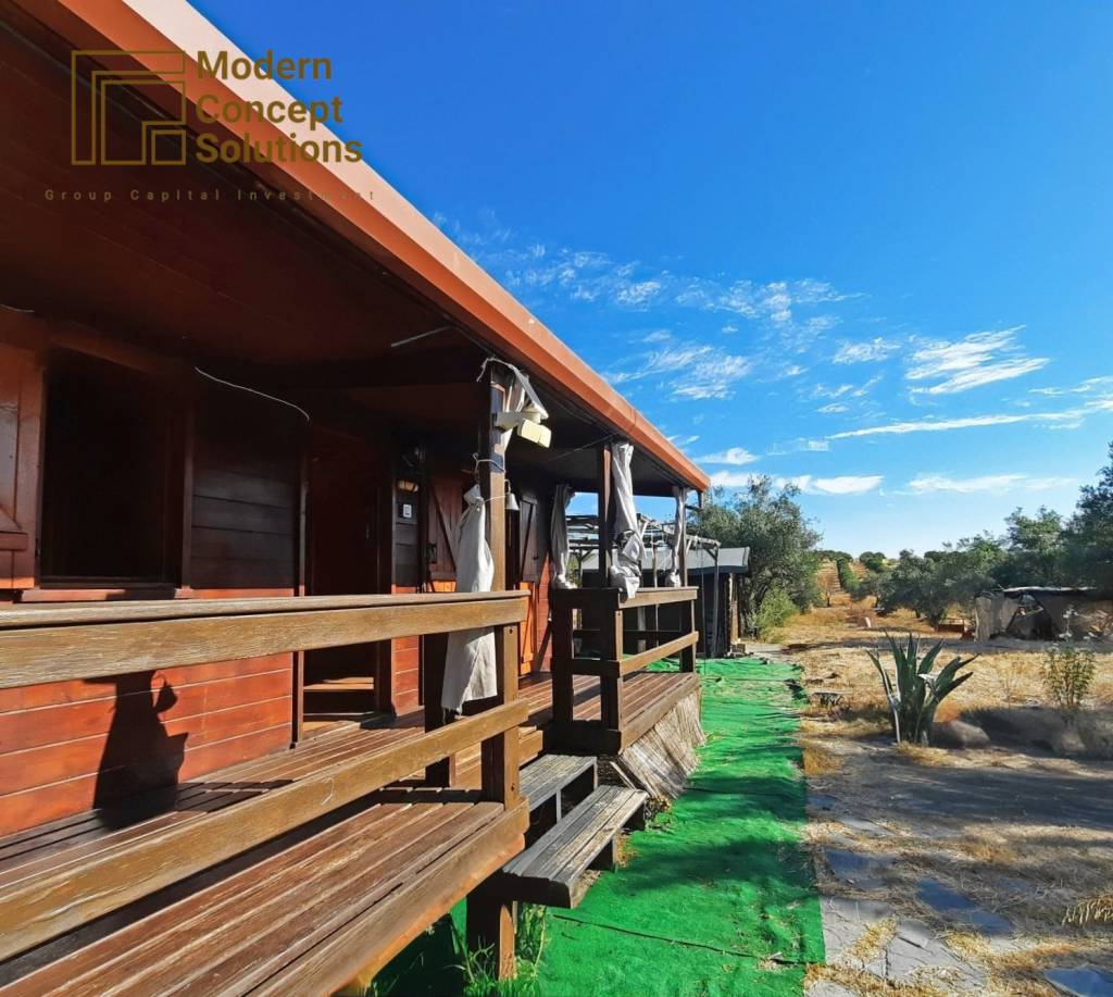 MCS - Fotos quinta (13)