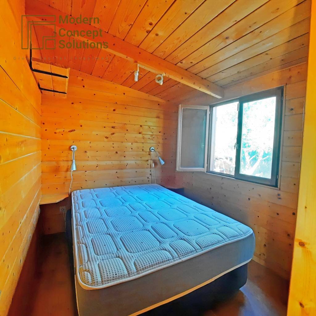 MCS - Fotos quinta (15)