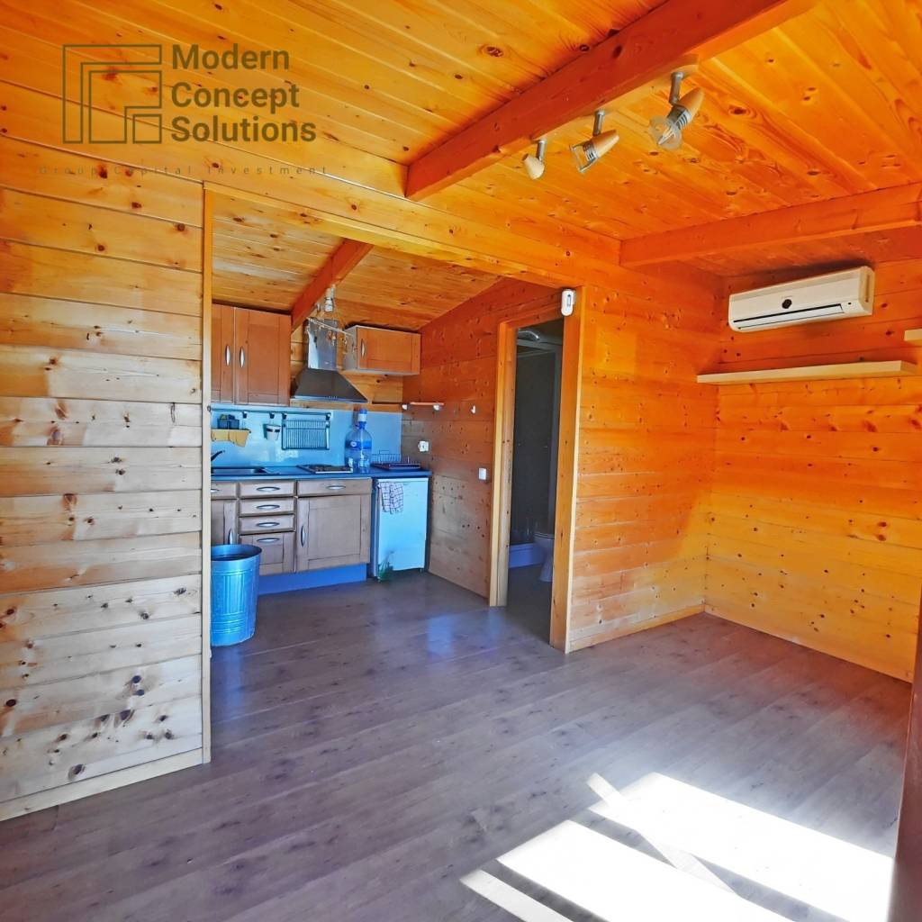 MCS - Fotos quinta (3)