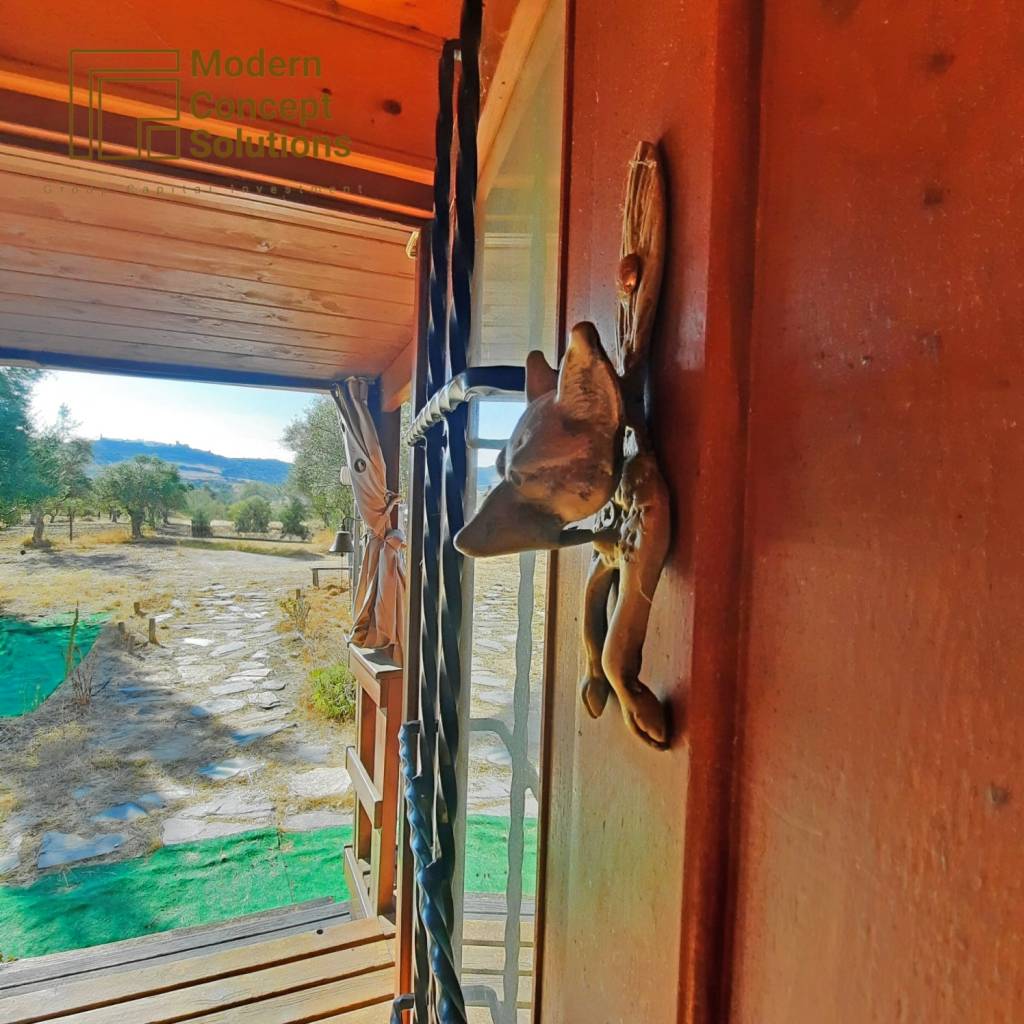 MCS - Fotos quinta (8)